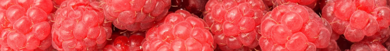 rasp