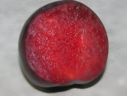 Japonská švestka 'Red Freedom'  Prunus salicina 'Red Freedom'