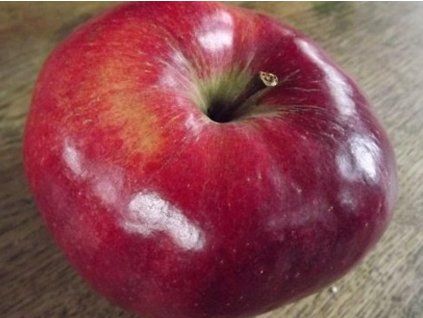 Jabloň 'Malinové hornokrajské'  Malus domestica 'Malinové hornokrajské'