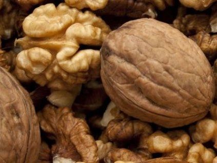 Ořešák královský 'Fernor'  Juglans regia 'Fernor'