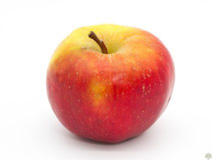 Jabloň 'Orangecrisp' - kontejner  Malus domestica 'Orangecrisp'