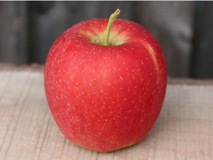Jabloň 'Sissi Red'  Malus domestica 'Sissi Red'