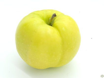 Jabloň 'Libovické zlaté'  Malus domestica 'Libovické zlaté'