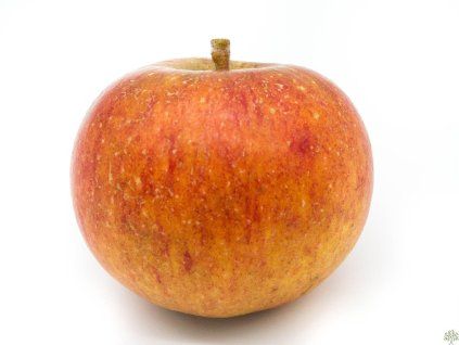 Jabloň 'Cherry Cox's'  Malus domestica 'Cherry Cox's'