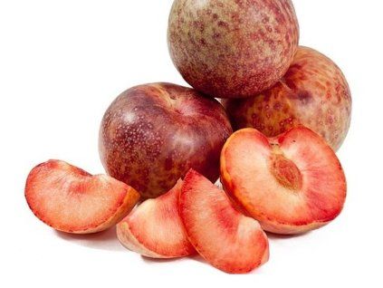 dapple