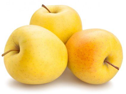 Jabloň 'Golden Delicious' - kontejner  Malus domestica 'Golden Delicious'