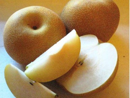 Asijská hrušeň 'New Arirang' - kontejner  Pyrus pyrifolia 'New Arirang'