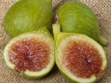 Fíkovník smokvoň 'Desert King'  Ficus carica 'Desert King'