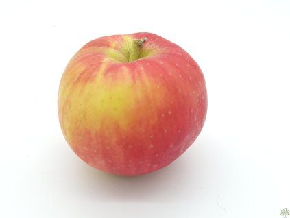 Jabloň 'Daňkovo'  Malus domestica 'Daňkovo'
