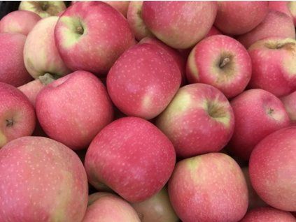 Jabloň 'Cripps Pink®'  Malus domestica 'Cripps Pink®'