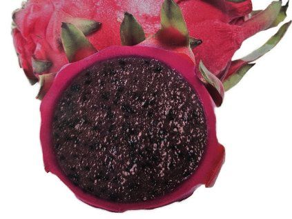 Pitaya hybridum 'JC02' - Dračí ovoce  Hylocereus hybridum 'JC02'