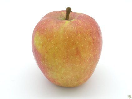 Jabloň 'Bláhovo Oranžové' - kontejner  Malus domestica 'Bláhovo Oranžové'