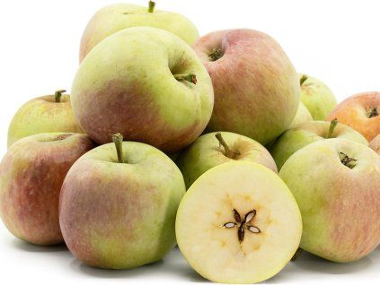 Jabloň 'Alexander letní'  Malus domestica 'Alexander letní'