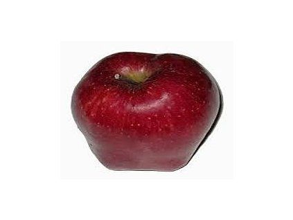 Jabloň 'Camspur'  Malus domestica 'Camspur'