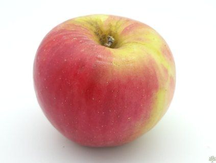 Jabloň 'Freedom'  Malus domestica 'Freedom'