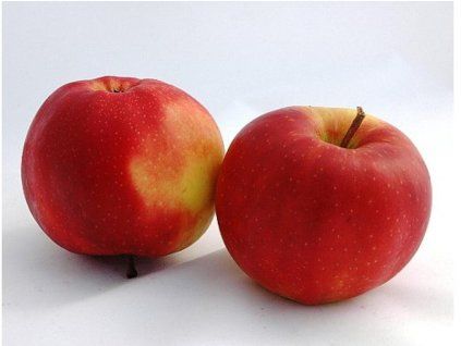 Jabloň 'Jonagold Marnika'  Malus domestica 'Jonagold Marnika'