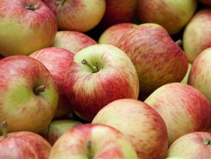 Jabloň 'Lord Lambourne'  Malus domestica 'Lord Lambourne'