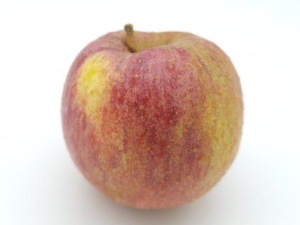 Jabloň 'Nabella'  Malus domestica 'Nabella'