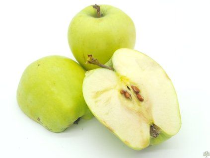 Jabloň 'Produkta'  Malus domestica 'Produkta'
