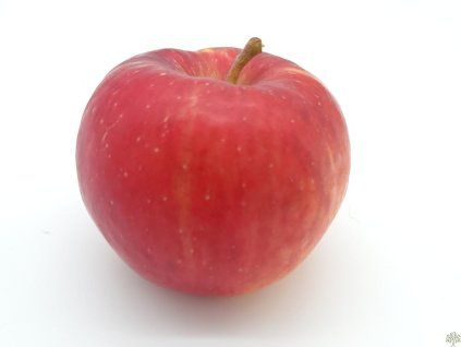 Jabloň 'Red Topaz'  Malus domestica 'Red Topaz'