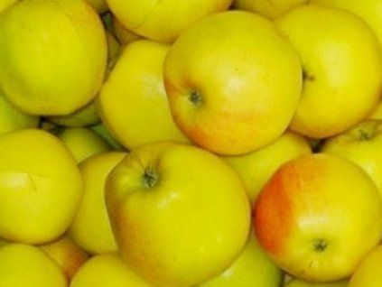 Jabloň 'Zvonkové'  Malus domestica 'Zvonkové'