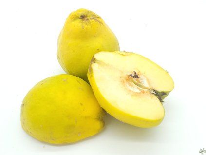 Kdouloň 'Bereckého'  Cydonia oblonga 'Bereckého'