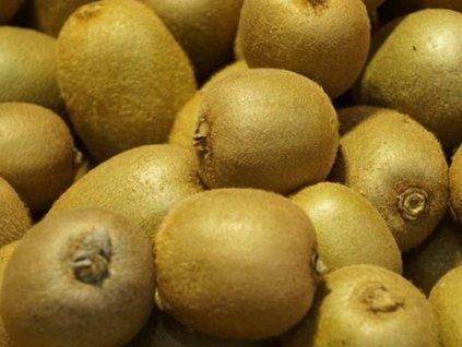 Kiwi 'Hayward'  Actinidia deliciosa 'Hayward'