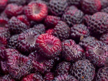 glen2
