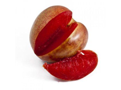 Švestkomeruňka 'Flavor Supreme'  Prunus hybrid. 'Flavor Supreme'