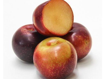 Švestkomeruňka 'Plumcot'  Prunus hybrid. 'Plumcot'