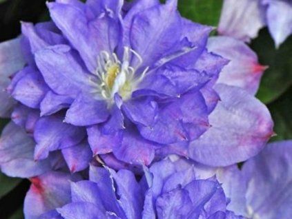 blue explosion