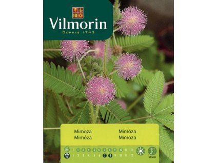 mimoza