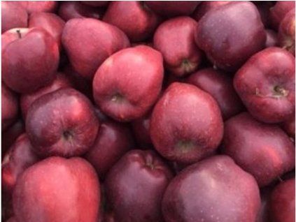 Jabloň 'Starkrimson'  Malus domestica 'Starkrimson'