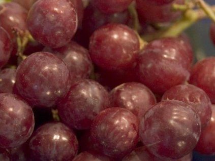 Réva vinná 'Swenson Red'  Vitis vinifera 'Swenson Red'