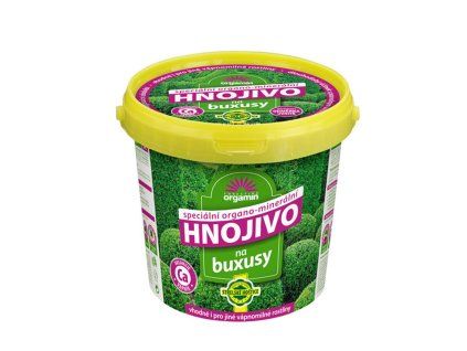 buxus