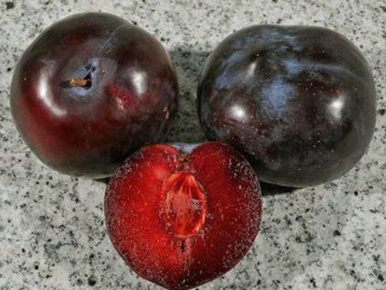 Japonská švestka 'Red Beauty'  Prunus salicina 'Red Beauty'