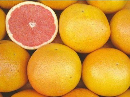 pompelno c