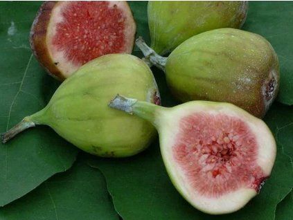 diamant