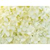 103973 cotton cream