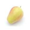 Jabloň 'Česká Pochoutka'  Malus domestica 'Česká Pochoutka'