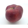 Jabloň 'Malinové hornokrajské'  Malus domestica 'Malinové hornokrajské'