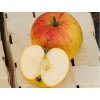 Jabloň 'Švýcarské oranžové'  Malus domestica 'Švýcarské oranžové'