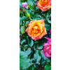 111951 4 111951 4 644f0f75829dfcd8