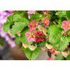 Sn�mek obrazovky 2024 09 03 095405