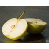 Asijská hrušeň 'Shinseiki'- kontejner  Pyrus pyrifolia 'Shinseiki'