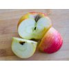 Jabloň 'Božena Němcová'  Malus domestica 'Božena Němcová'