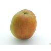 Jabloň 'Cornwallské hřebíčkové'  Malus domestica 'Cornwallské hřebíčkové'