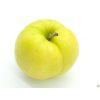 Jabloň 'Libovické zlaté'  Malus domestica 'Libovické zlaté'