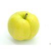 Jabloň 'Libovické zlaté'  Malus domestica 'Libovické zlaté'