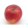 Jabloň 'Red Topaz'  Malus domestica 'Red Topaz'